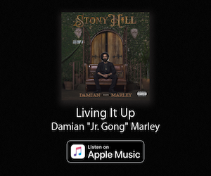 Living it Up - Damian Marley