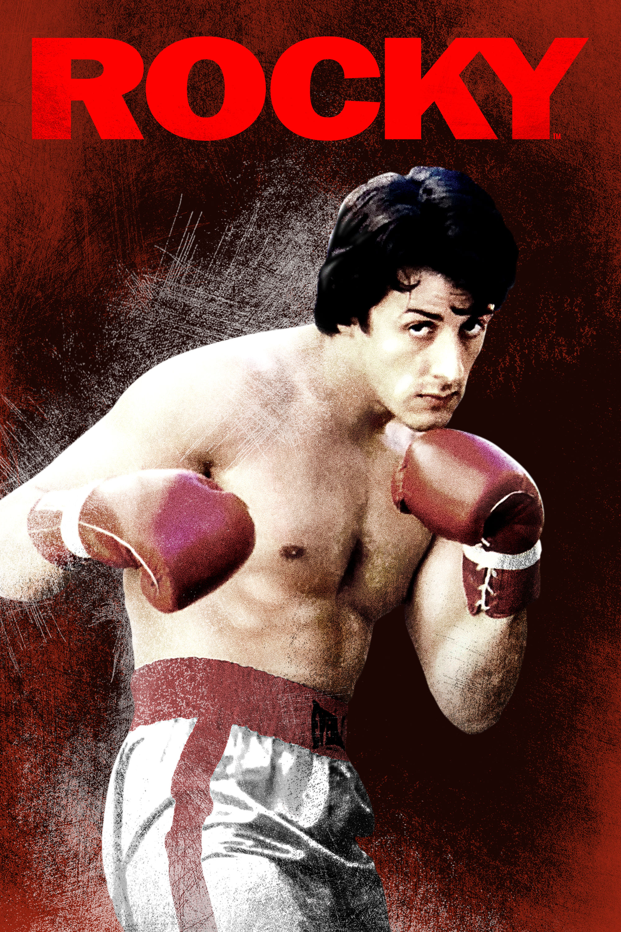 Rocky watch full movie free » DaMusicHits