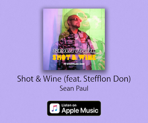 Sean Paul - Shot & Wine ft. Stefflon Don (Official Video)