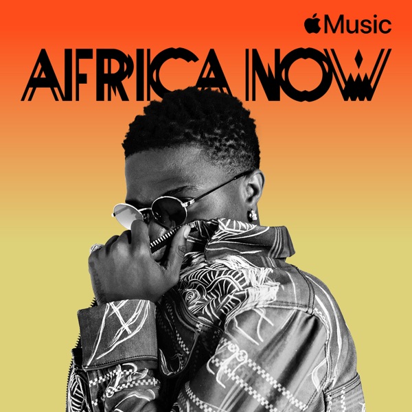Damusichits Featured Playlist: Africa Now via Apple Music
